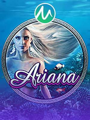Tampilan terbang 77 slot - slot Indonesia
